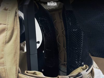 Crye Precision AVS Койот (Сoyote)