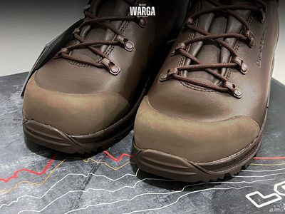 Тактические ботинки Lowa Сombat Boot GTX Темно-коричневый (Dunkel Braun)