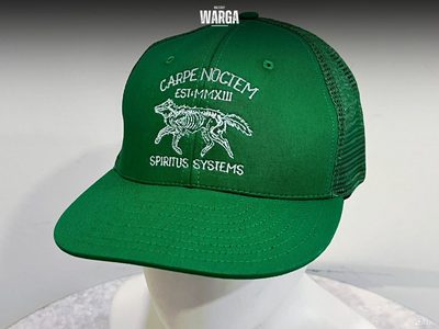 Бейсболка Spiritus Systems Зеленый (Green )