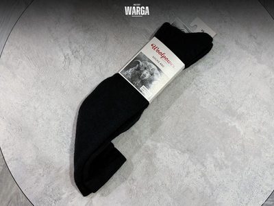 Треккинговые носки Woolpower 400