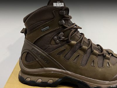 Тактические ботинки Salomon Quest 4D GTX Forces 2 Коричневый (Earth Brown)