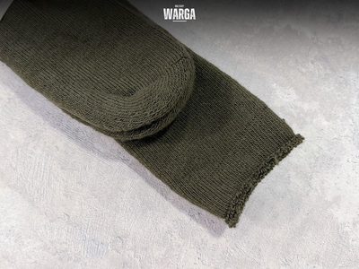 Треккинговые носки Woolpower 600